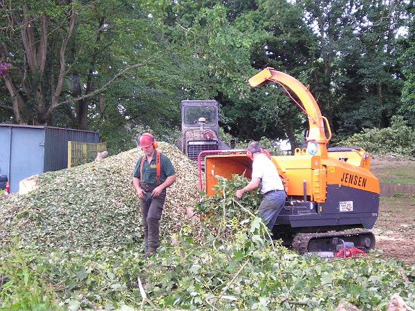 EATING UP THE RUBBISH!.JPG - Eating up the rubbish!
